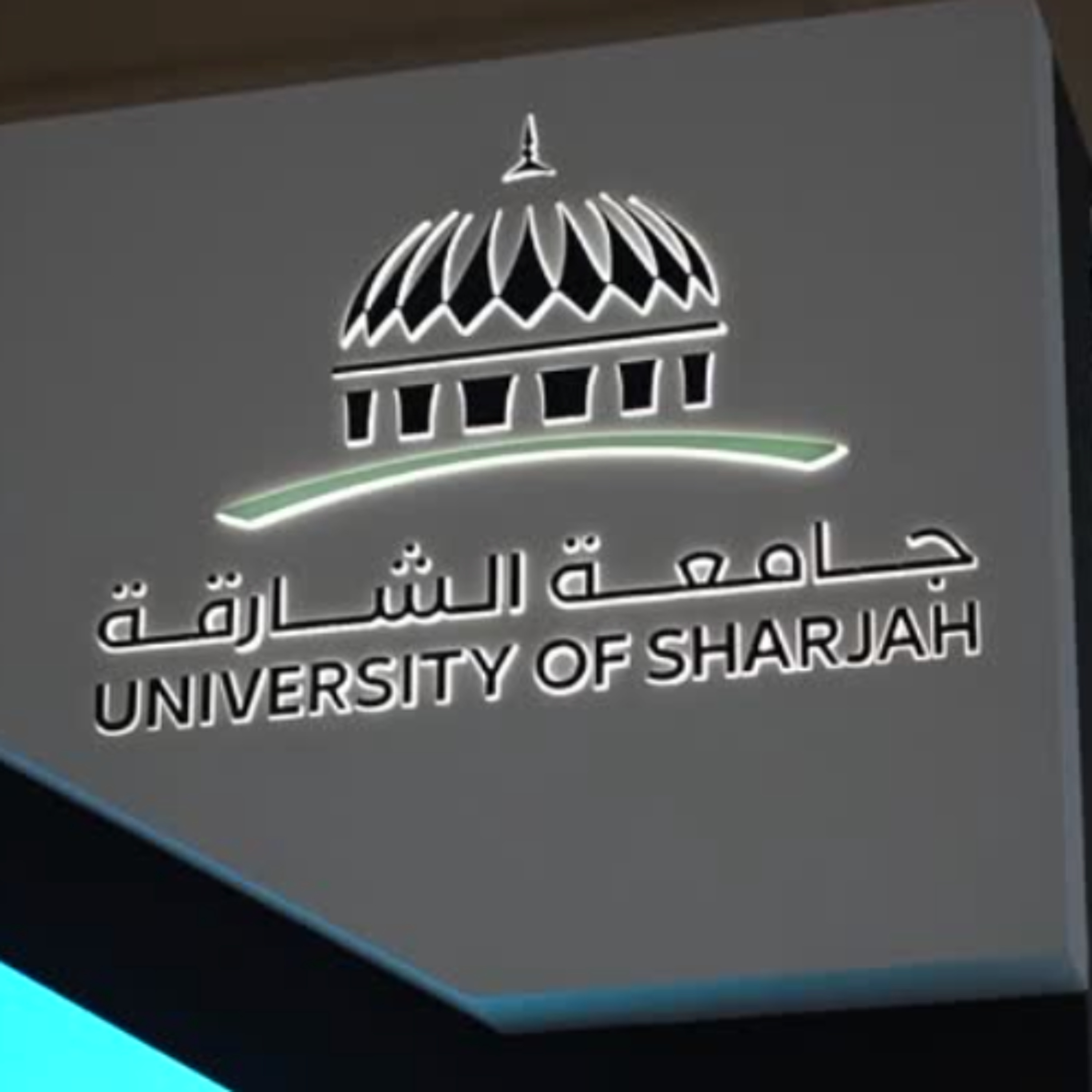 UoS workshops on ethical use of AI for producing government content (11.9.25) episode artwork