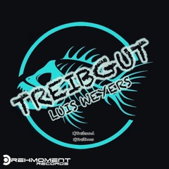 Treibhaus _ Luis Weyers _ Drehmoment  _ Records