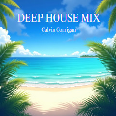 Where Has Deep House Gone ?