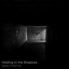 Hidding in the Shadows (Original Mix)