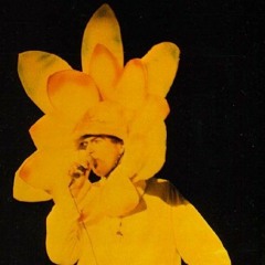 New Melting Forestcghbsfhdfthdfthdfth