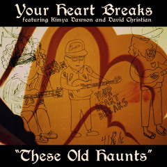 These Old Haunts (feat. Kimya Dawson & David Christian And The Pinecone Orchestra)