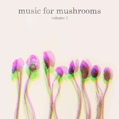 Music For Mushrooms I