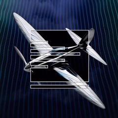 PARALLELISM 0000 - Zenyo