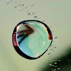 An der Stelle wo es am aller schönsten ist