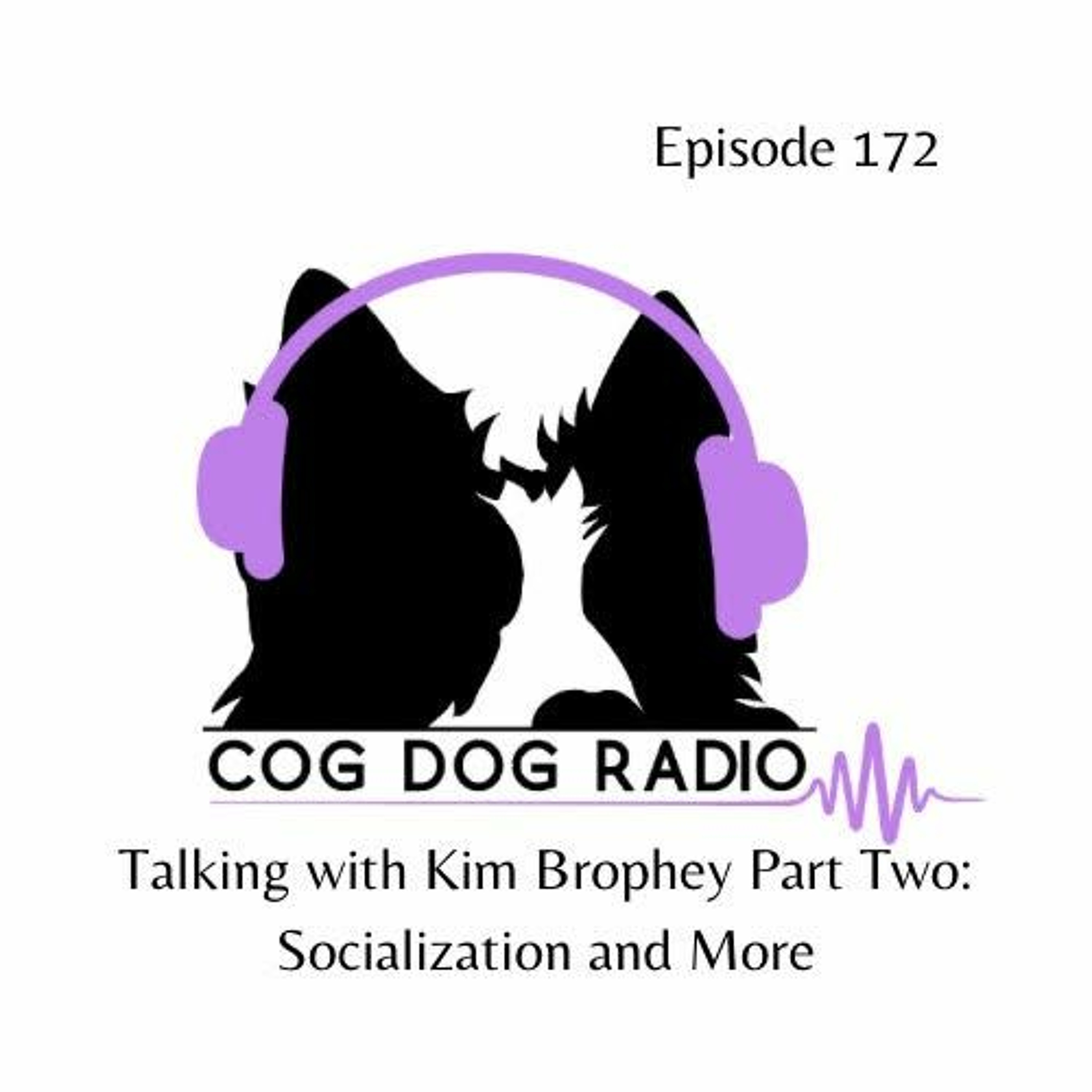 Cog-Dog Radio