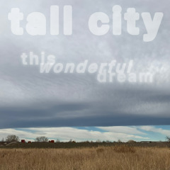 This Wonderful Dream