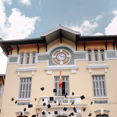 Pháo hoa