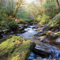 ਮਨ ਮੇਰੇ ਭੂਲੇ ਕਪਟੁ ਨ ਕੀਜੈ ॥ - Ragi Surmukh Singh Ji