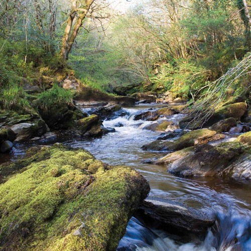 ਮਨ ਮੇਰੇ ਭੂਲੇ ਕਪਟੁ ਨ ਕੀਜੈ ॥ - Ragi Surmukh Singh Ji