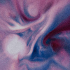 Van der Wiese - Figment