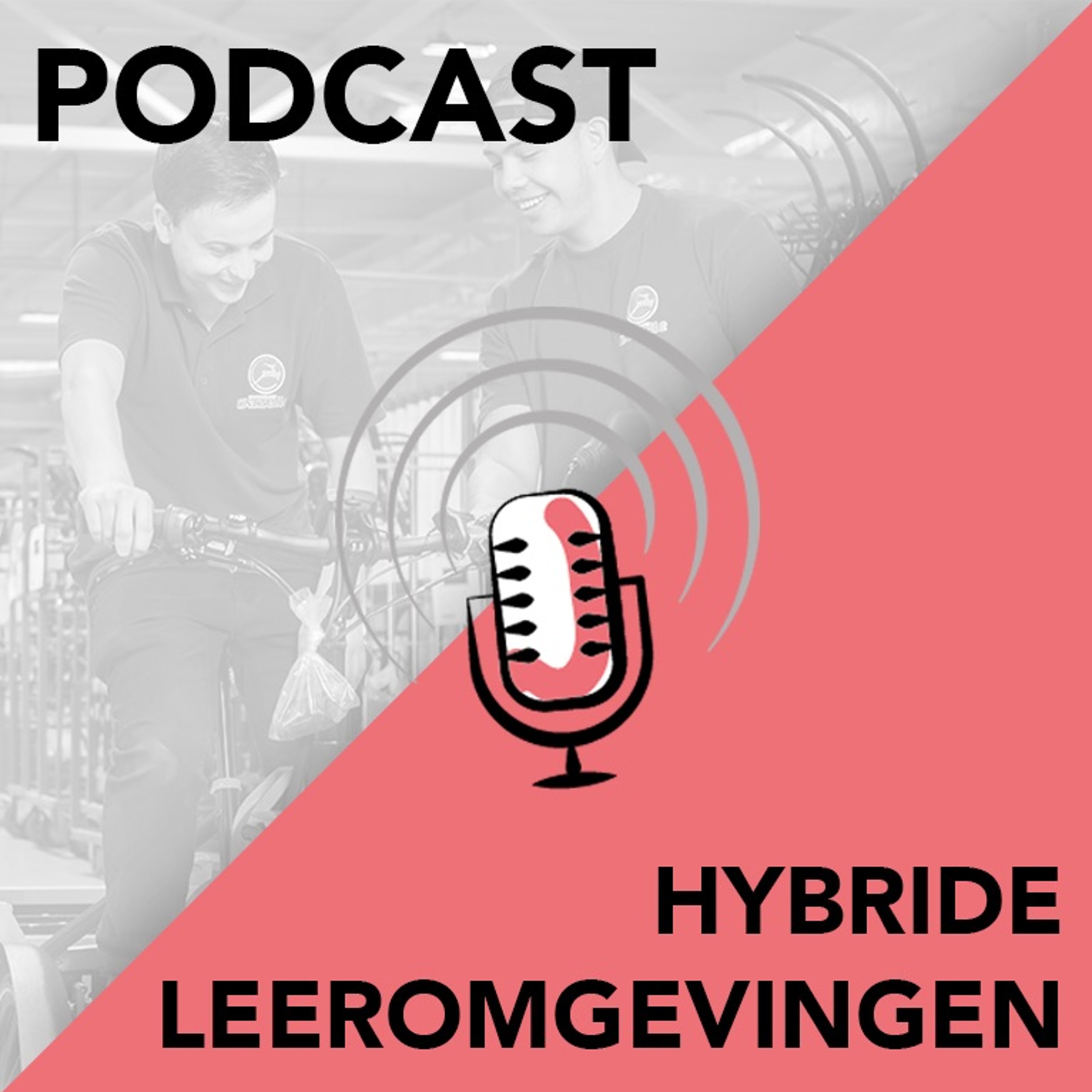 Praktijk Ontmoet Onderzoek afl3. Hybride Leeromgevingen