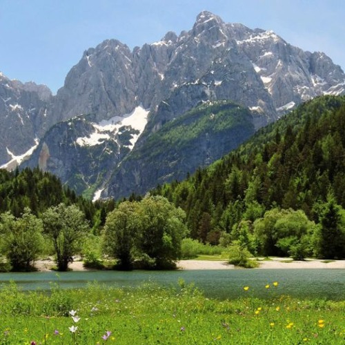 Accelerate background music for video - Free Download