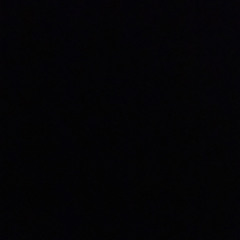 Bricks - Loyalty - War Ready