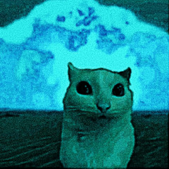 meow [prod. ludatalesi]