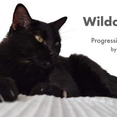 Wildcat n.1 - Progressive House Mix
