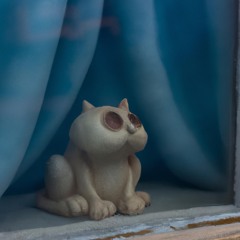 every living creature on earth dies alone