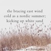 Tải video: Cold as a nordic summer [naviarhaiku457]