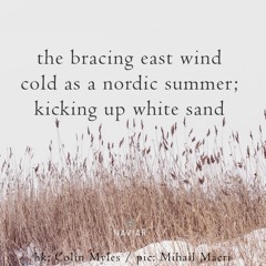 Cold as a nordic summer [naviarhaiku457]