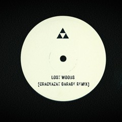 Lost Woods (Crackazat Garage Remix)