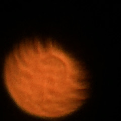 gemma’s lullaby (stepping stones) (voice memo)