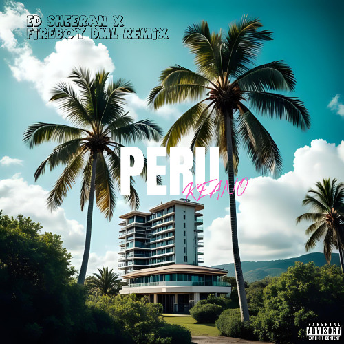 PERU - FIREBOY DML, ED SHEERAN (KEANO REMIX)