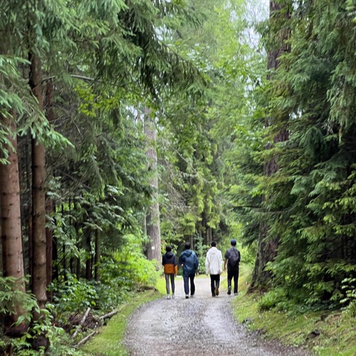 Gott will, dass wir Ihn lieben (L.f.J. 132)