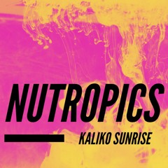 NuTropics - Kaliko Sunrise (Original Mix)
