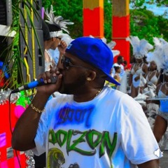 The Venomous Poison All about the P's Boat Ride. Vintage Sass