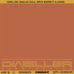 Dweller 2.5 Music Festival: Bryn Barnett