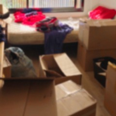 AYVAN - acomodando el depto