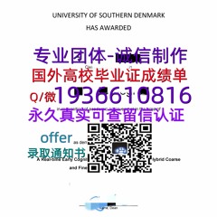 国外文凭成绩单（文凭学历）学位证办理Q微1936610816SDU毕业证