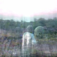 world's best sacrificial lamb