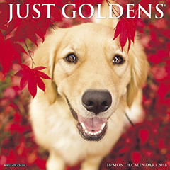 Get KINDLE 📖 Just Goldens 2018 Calendar by  Willow Creek Press KINDLE PDF EBOOK EPUB
