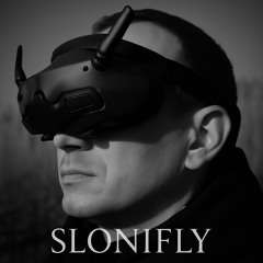 Полёт - моя свобода