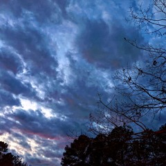 Winter Nights
