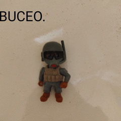 BUCEO.