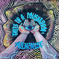 Liquid Transcendence