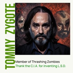 Thank the C.I.A. for inventing L.S.D.
