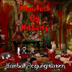 Mauled by kittens - Hairball Regurgitation