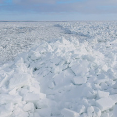 Zer0Below/DND.m4a.m4a