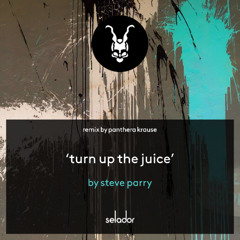 **FULL LENGTH PREVIEW** Steve Parry - Turn up The Juice (Panthera Krause Remix)