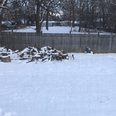 Leon Larregui- Carmin “Cover”