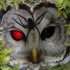 давно не был в клубе