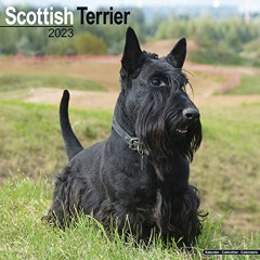 [VIEW] PDF 📜 Scottish Terrier Calendar - Dog Breed Calendars - 2022 - 2023 wall cale