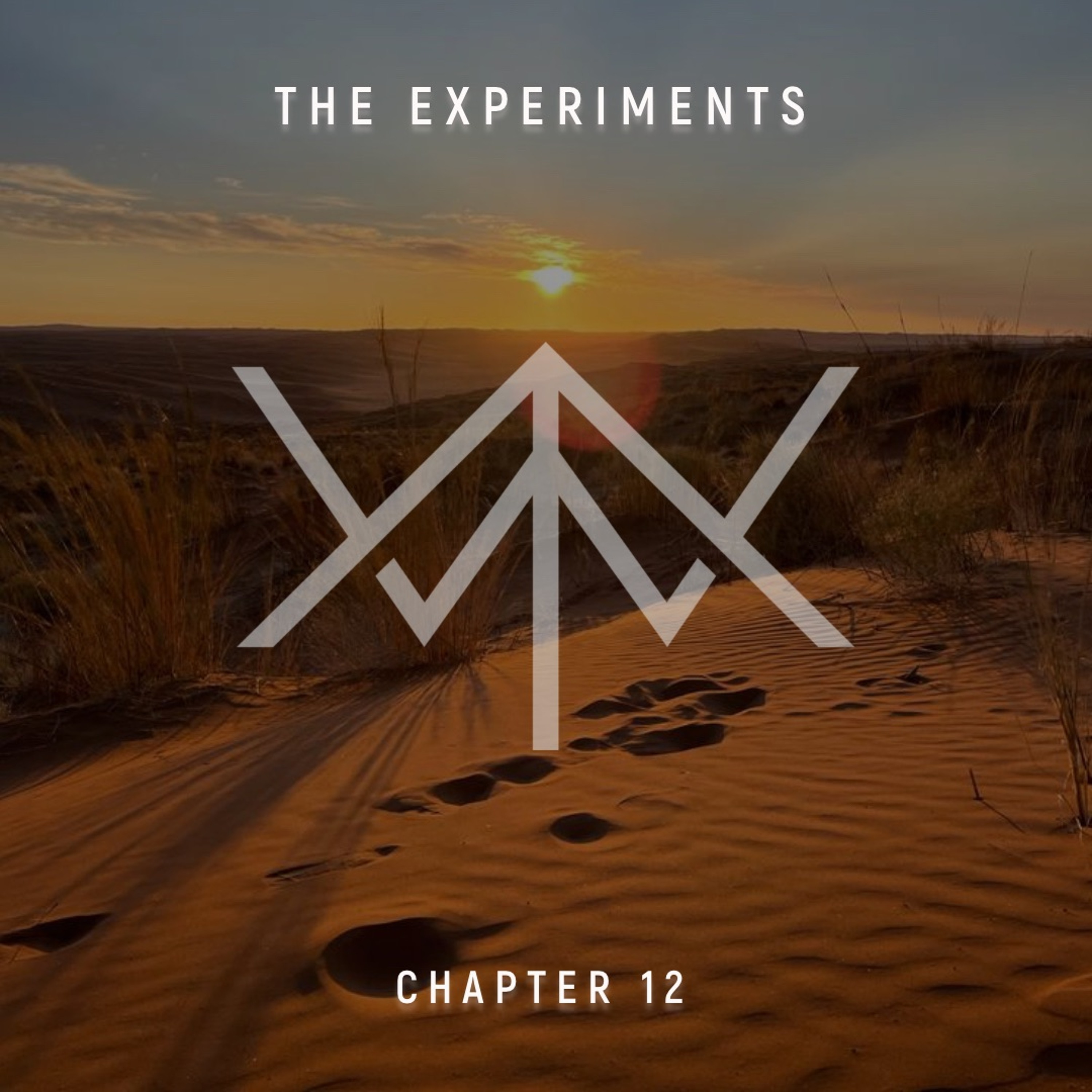 The Experiments of Walter Twist | Chapter 12 episode artwork
