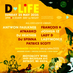 D-LiFE 2025 Artist Mix by Joshua Iz
