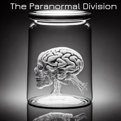 The Paranormal Division Doing my Job because i love You