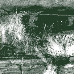 Tape 0207 - Racine