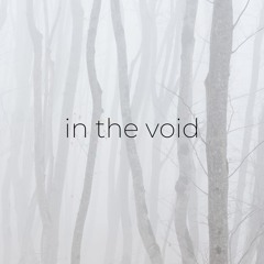 In The Void